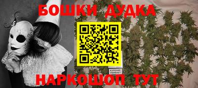 стафф Дубна
