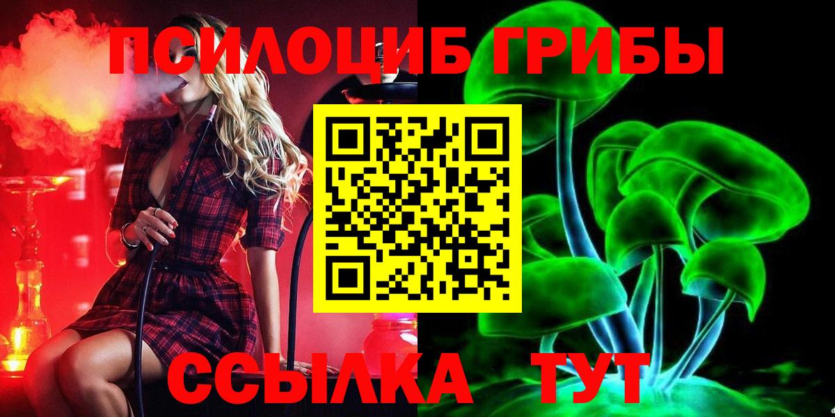 Псилоцибиновые грибы MAGIC MUSHROOMS  Галлюциногенные грибы Psilocybine cubensis  Кызыл  Вход с VPN 